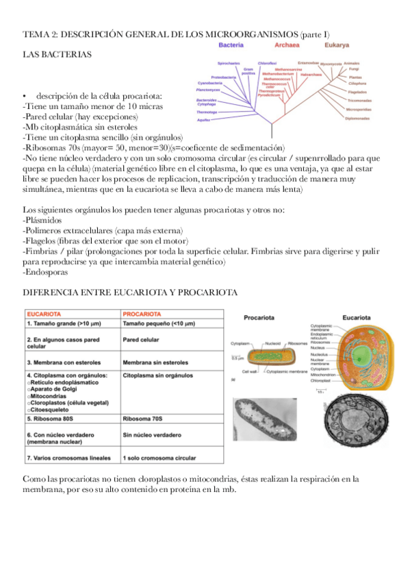 Miniatura del documento MICROBIOLOGIA-tema-2.pdf