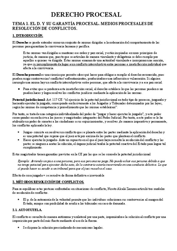 Miniatura del documento D.-Procesal-COMPLETO.pdf