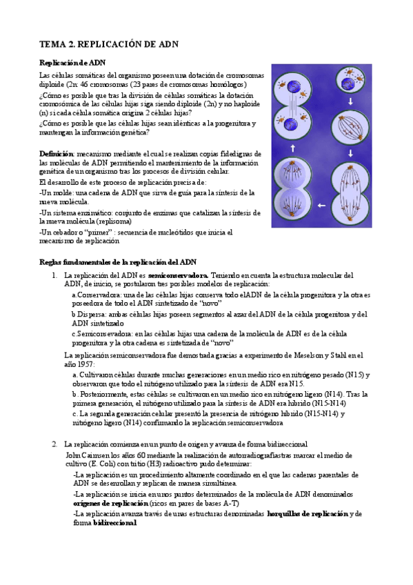 Miniatura del documento T2. Replicación del ADN.pdf