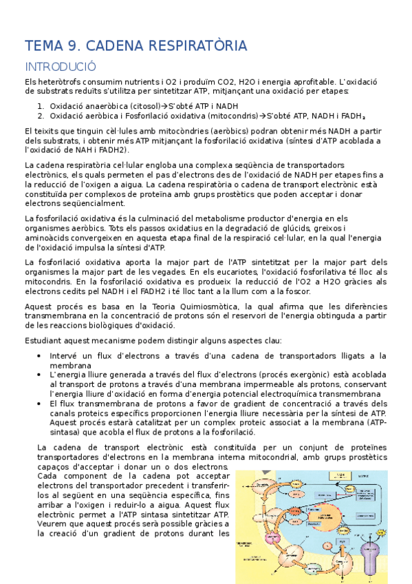 Miniatura del documento T6.docx