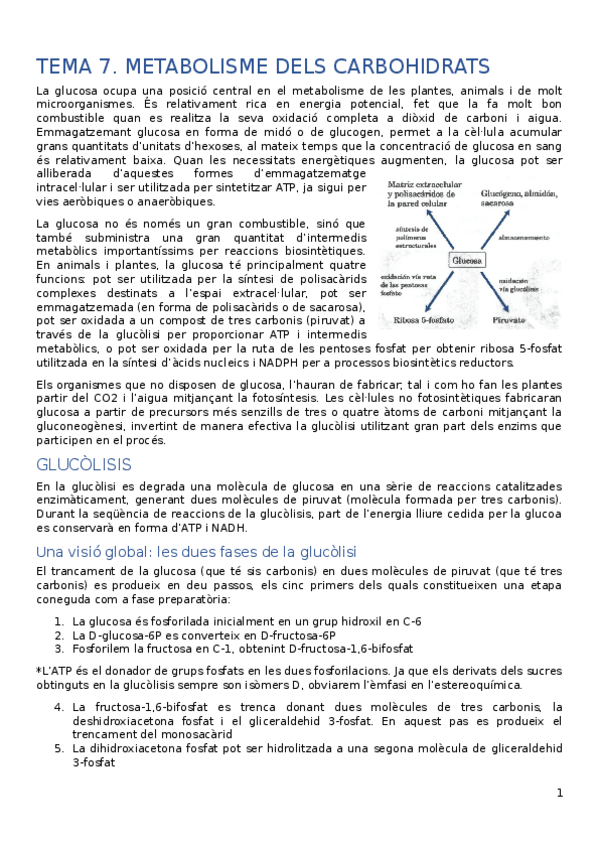 Miniatura del documento T7.docx