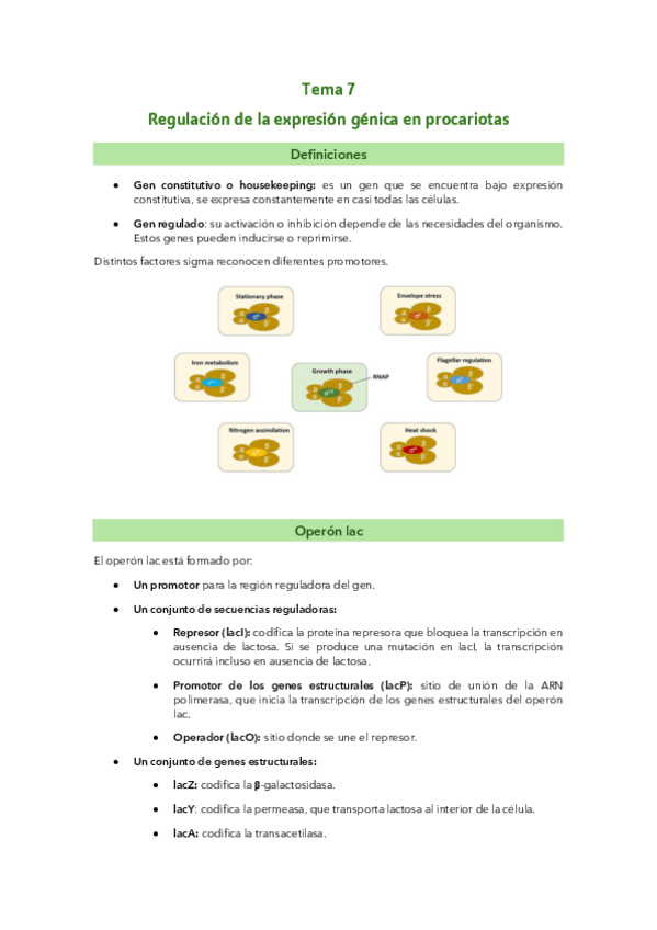 Miniatura del documento Tema 7: Regulación de la expresión génica en procariotas.pdf