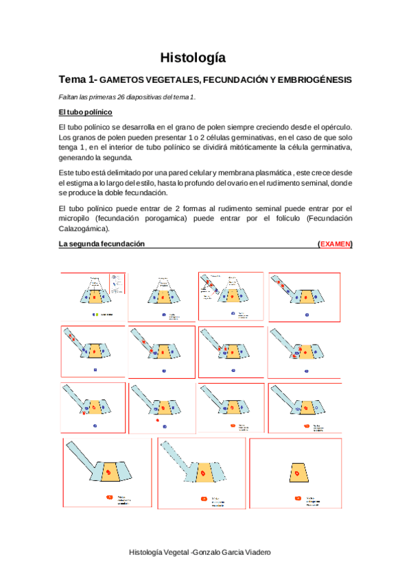 Miniatura del documento Histologia-Vegetal-T1-T7.pdf