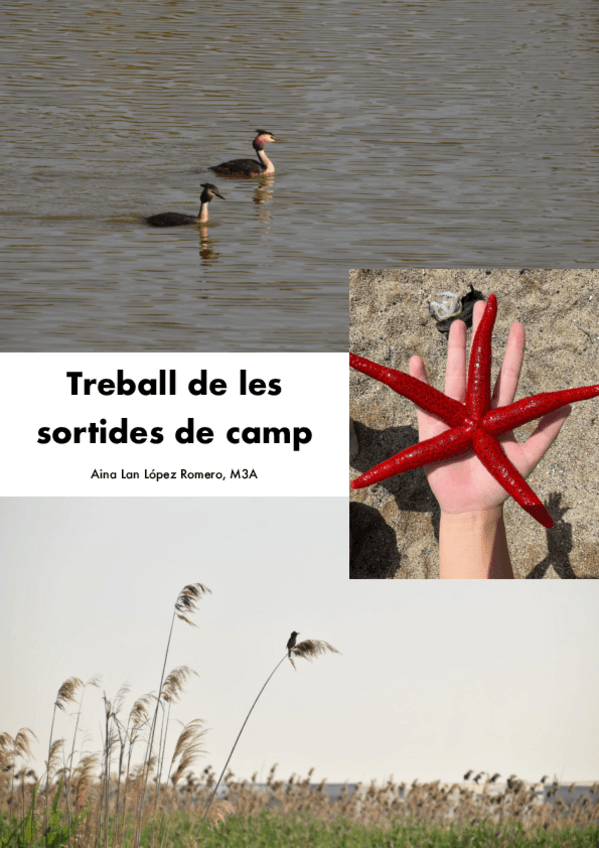 Miniatura del documento Treball-Sortides-de-Camp.pdf