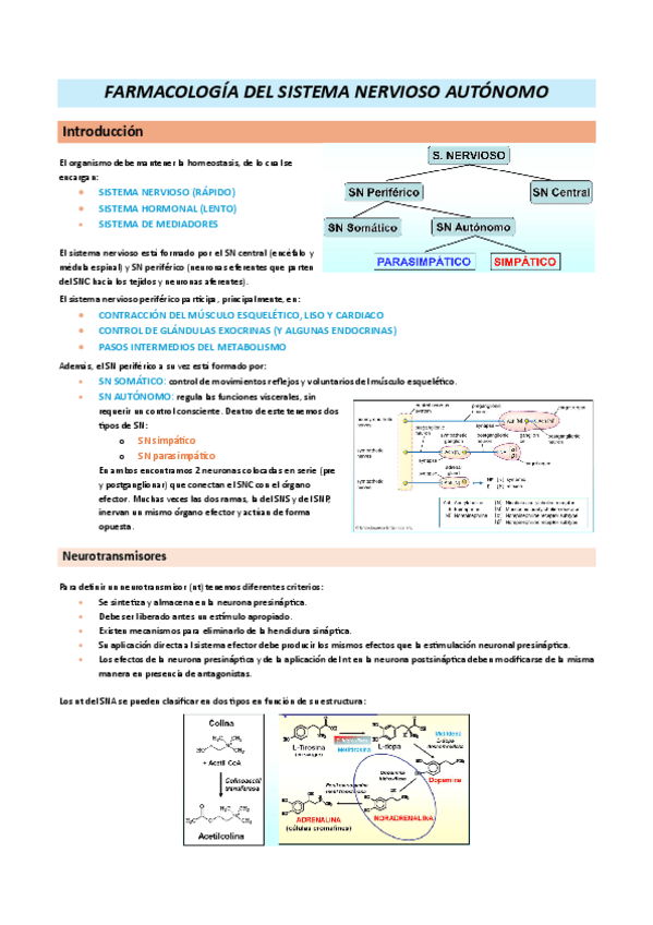 Miniatura del documento Farmacologia-24-25.-Farmacologia-del-SNA.pdf