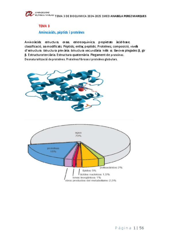 Miniatura del documento TEMA-3-AMINIOACIDOS-BIOQUIMICA.pdf