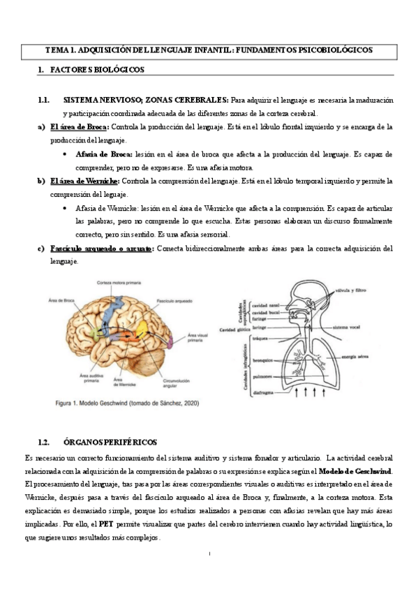 Miniatura del documento TEMA-1-lengua.pdf