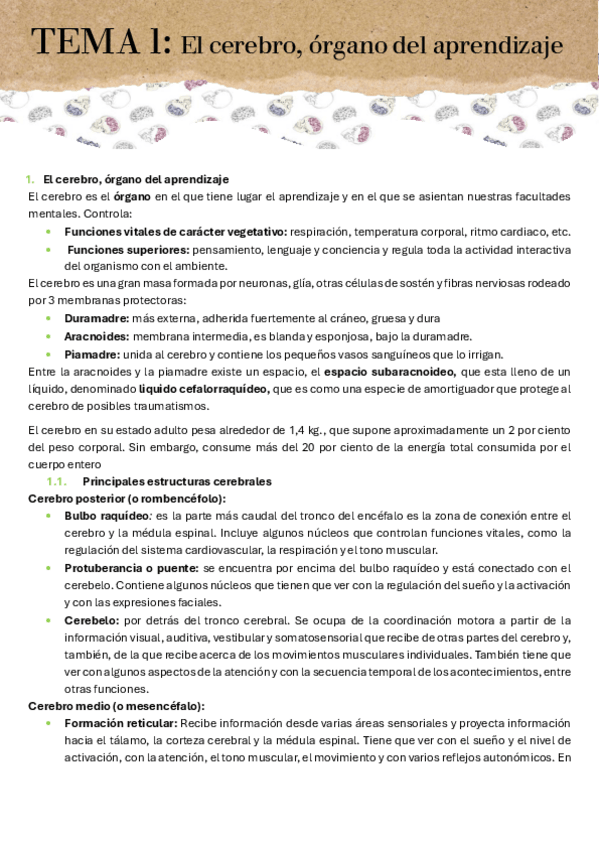 Miniatura del documento TEMA-1.pdf