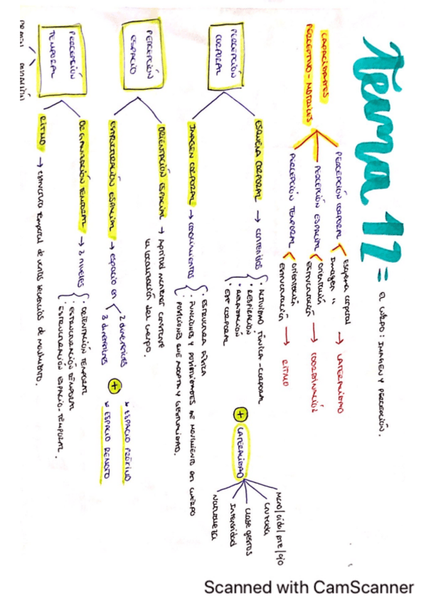 Miniatura del documento Apuntes-tema-11-17.pdf