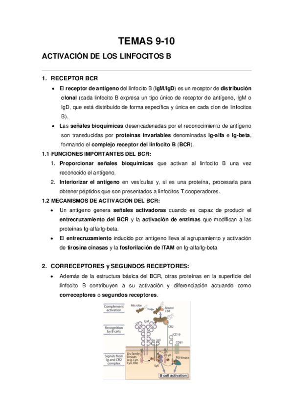 Miniatura del documento TEMAS-9-10-Linfocitos-B.pdf