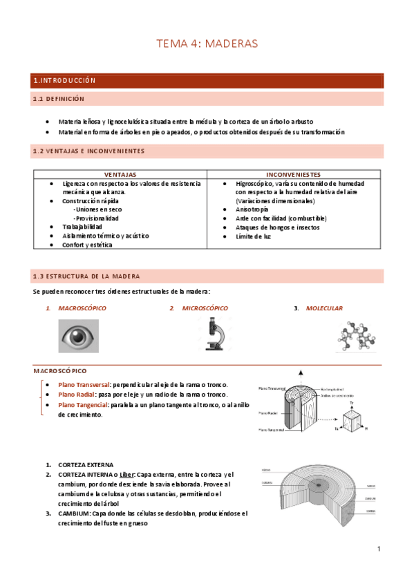 Miniatura del documento MADERAS.pdf