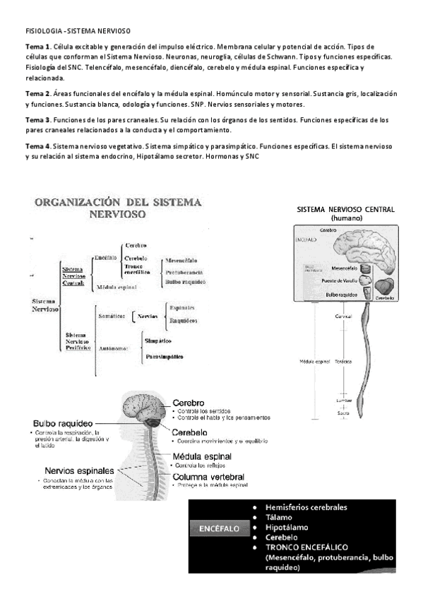 Miniatura del documento SISTEMA-NERVIOSO.pdf