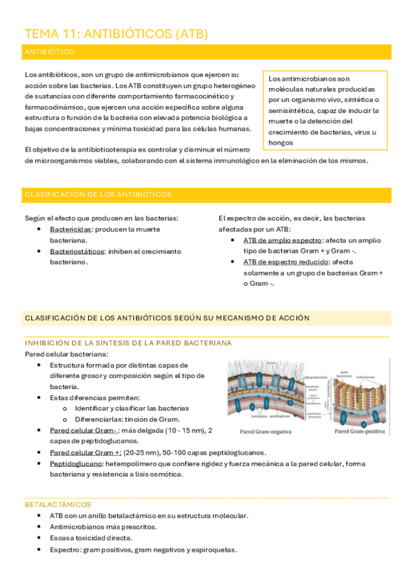 Miniatura del documento TEMA 11: ANTIBIÓTICOS (ATB).pdf