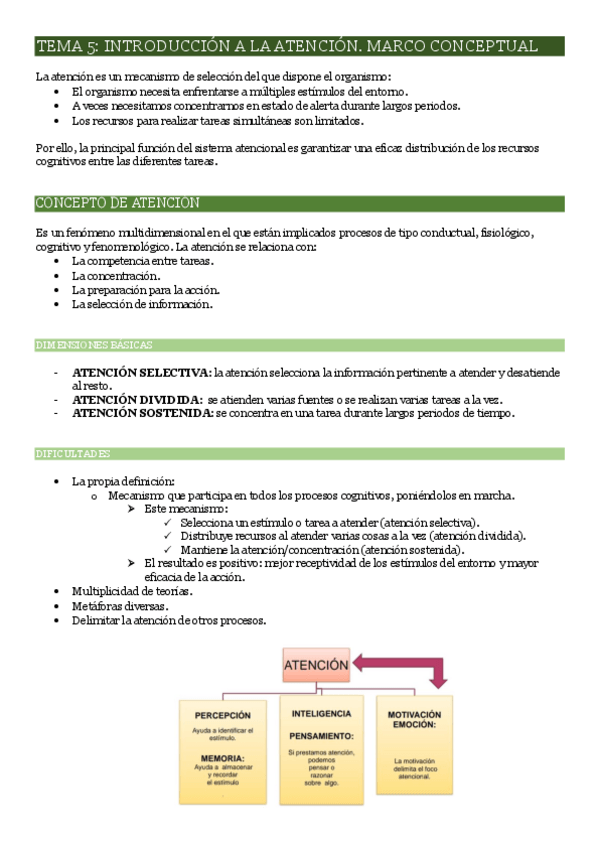Miniatura del documento TEMA-5.-ATENCION.pdf