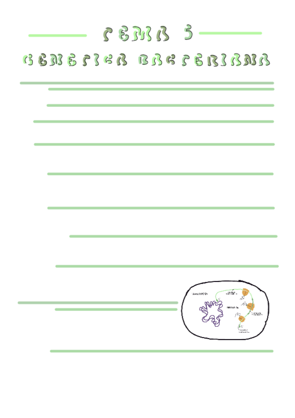 Miniatura del documento T5-Genetica-bacteriana.pdf