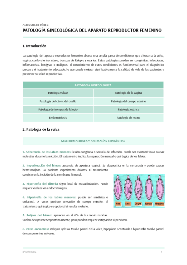 Miniatura del documento T.5-CUIDADOS-MUJER.pdf