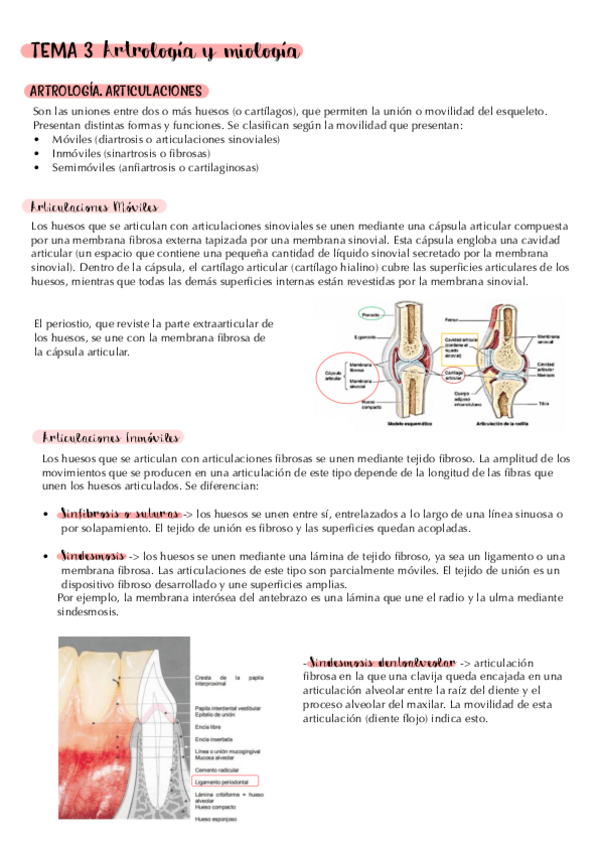 Miniatura del documento tema-3.-artrologia-y-miologia.-apuntes.pdf