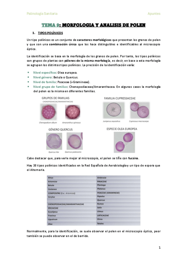 Miniatura del documento TEMA-9-MORFOLOGIA-Y-ANALISIS-DE-POLEN.pdf