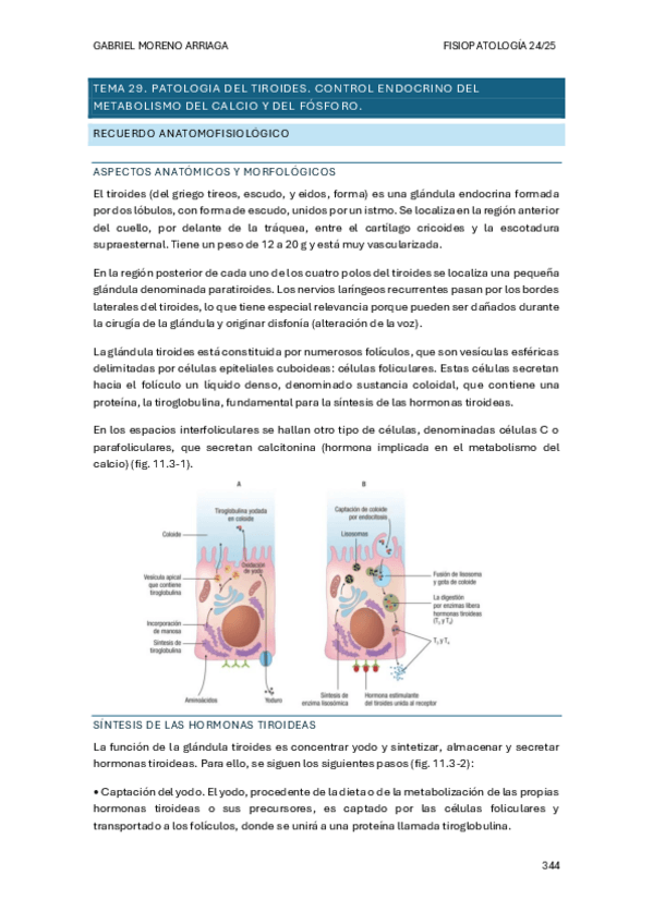 Miniatura del documento TEMA-29.pdf