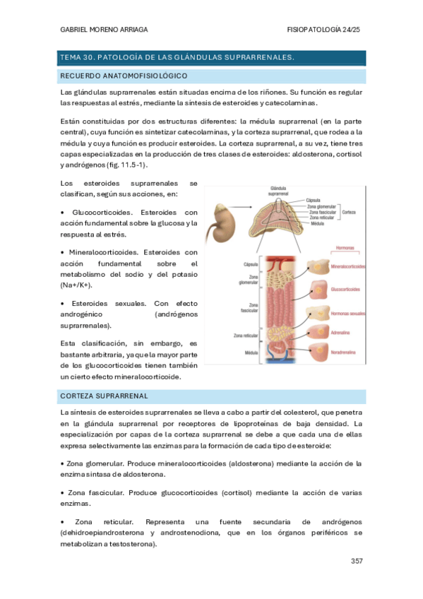 Miniatura del documento TEMA-30.pdf