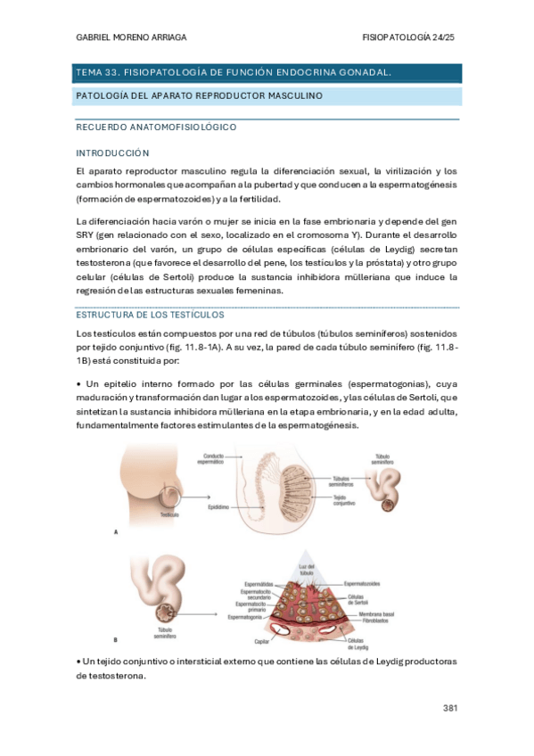 Miniatura del documento TEMA-33.pdf