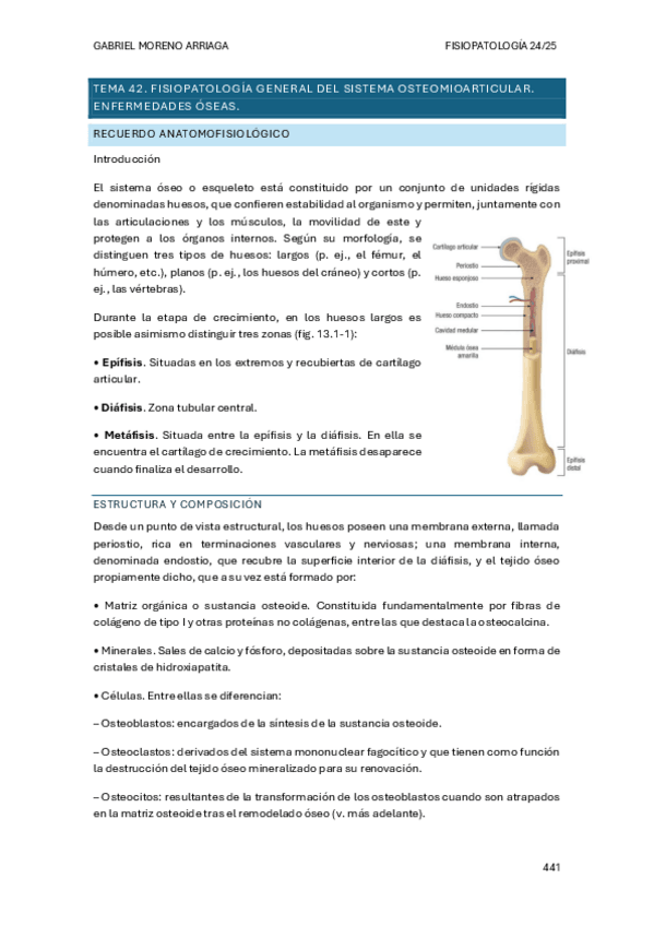 Miniatura del documento tema-42.pdf