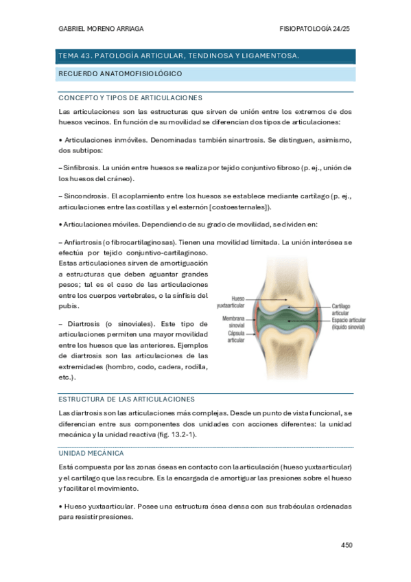 Miniatura del documento TEMA-43.pdf