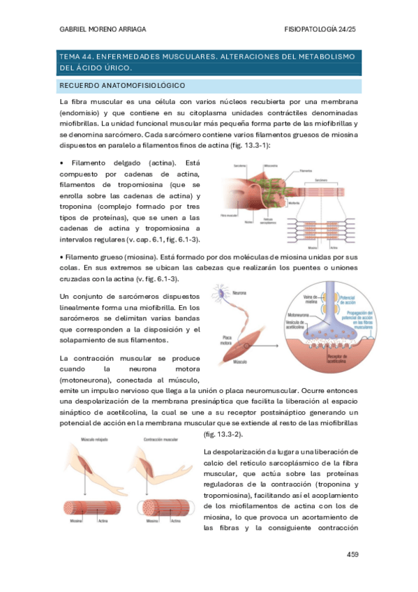 Miniatura del documento TEMA-44.pdf