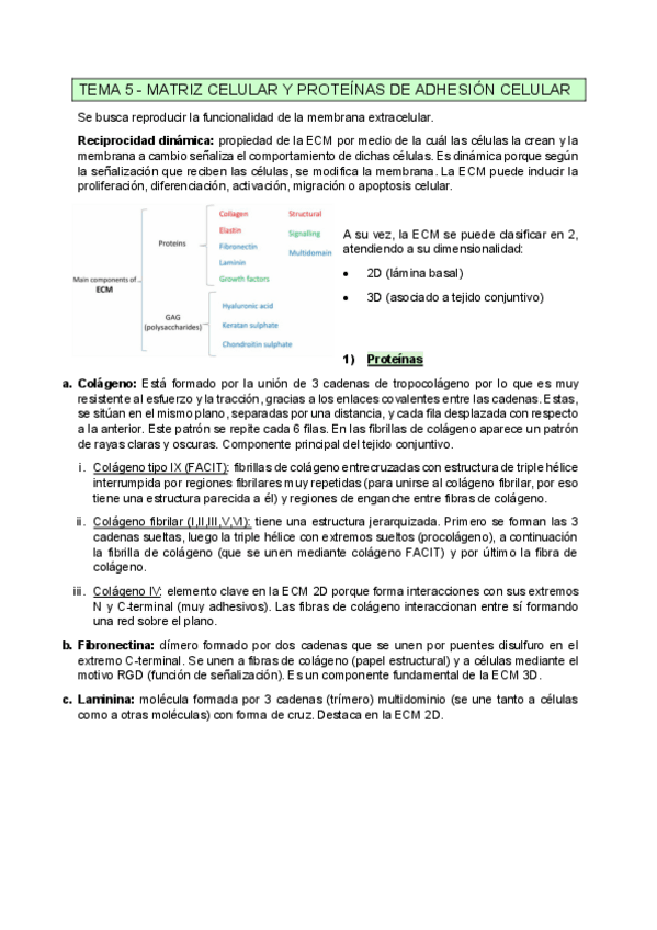 Miniatura del documento TEMA-5-IngTej.pdf