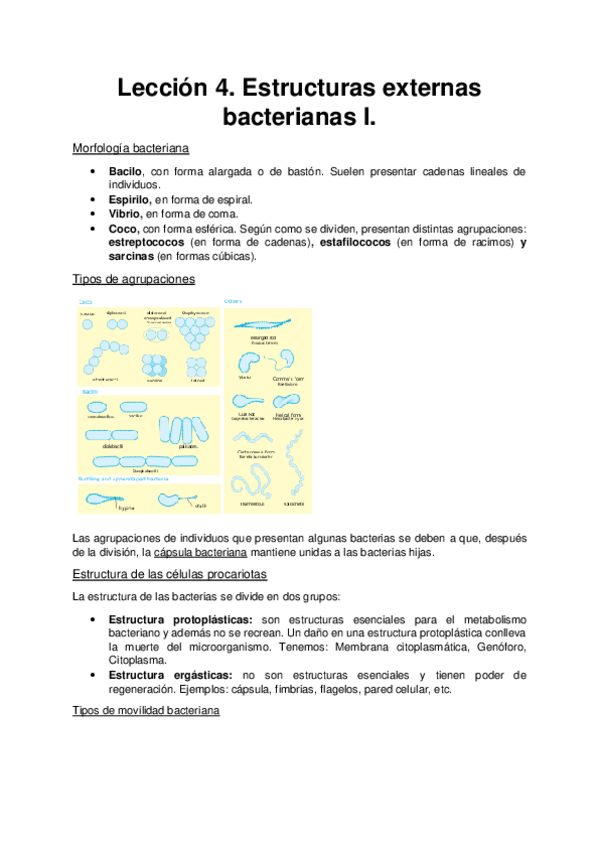 Miniatura del documento Microbiologia. Estructuras externas bacterianas I.pdf