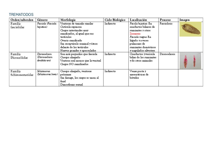 Miniatura del documento Clase-Trematoda-y-Cestoda.pdf