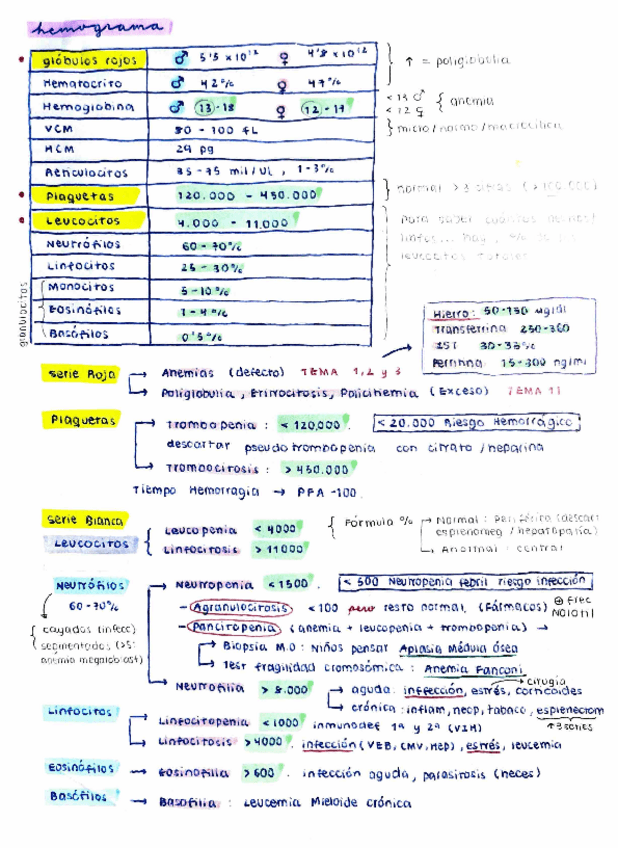 Miniatura del documento Resumen-Hemato-Teoria--Seminarios-35-paginas.pdf