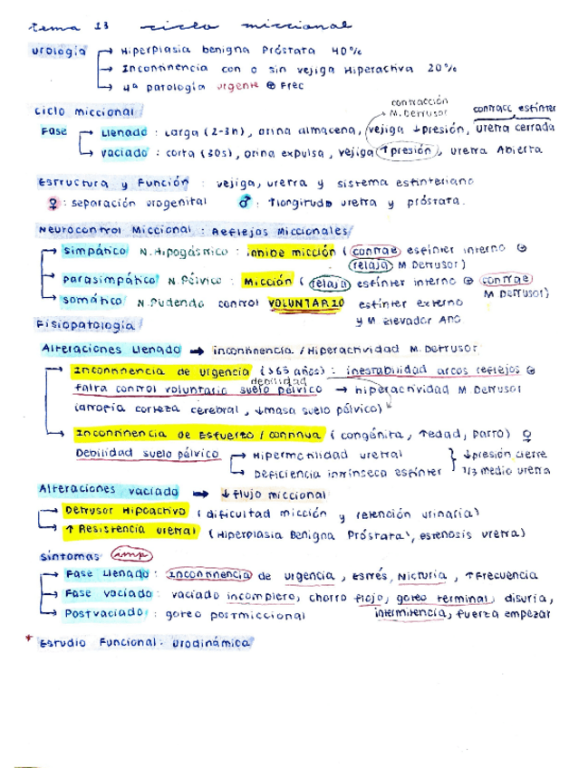 Miniatura del documento Resumen-Uro-Teoria--Seminarios-31-paginas.pdf