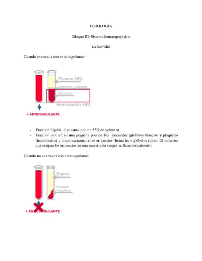 Miniatura del documento FISIOLOGIA-BLOQUE-III-SISTEMA-HEMATOPOYETICO.pdf