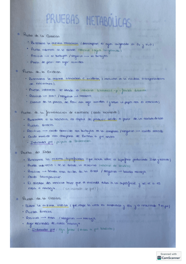 Miniatura del documento Resumen-Practicas-Micro.pdf