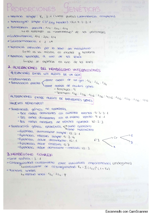 Miniatura del documento apuntes-genetica.pdf