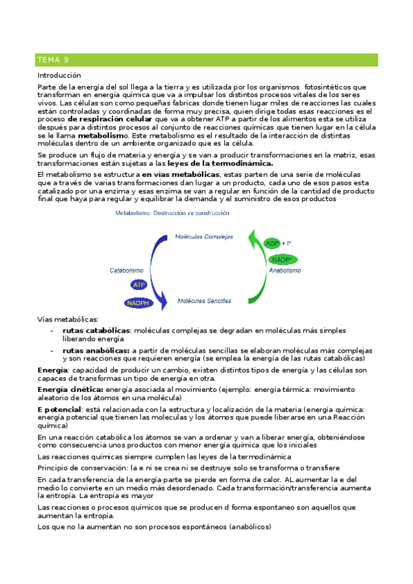 Miniatura del documento Tema-9.docx
