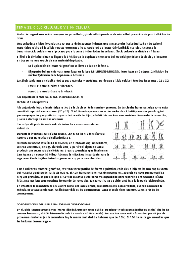 Miniatura del documento TEMA-11.pdf
