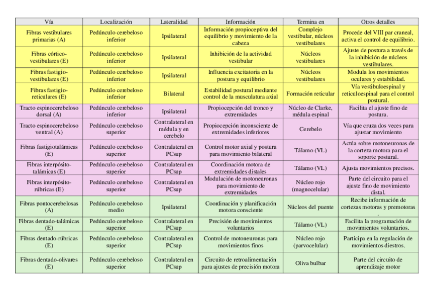 Miniatura del documento Vias-del-cerebelo.pdf