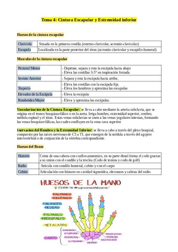 Miniatura del documento tema-4-estudio.pdf
