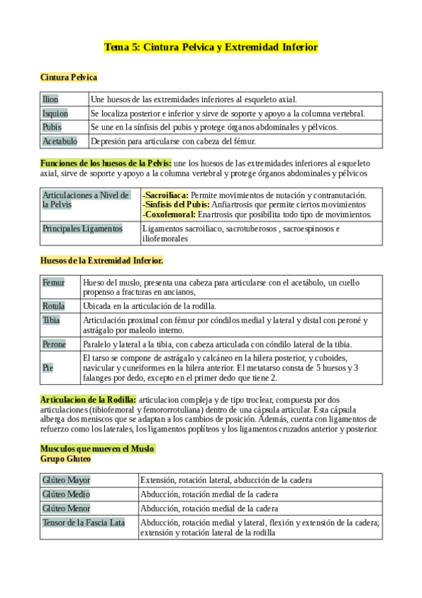 Miniatura del documento tema-5-estudio.pdf