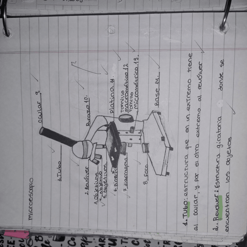 Miniatura del documento 17300547125041171784907604677990.jpg