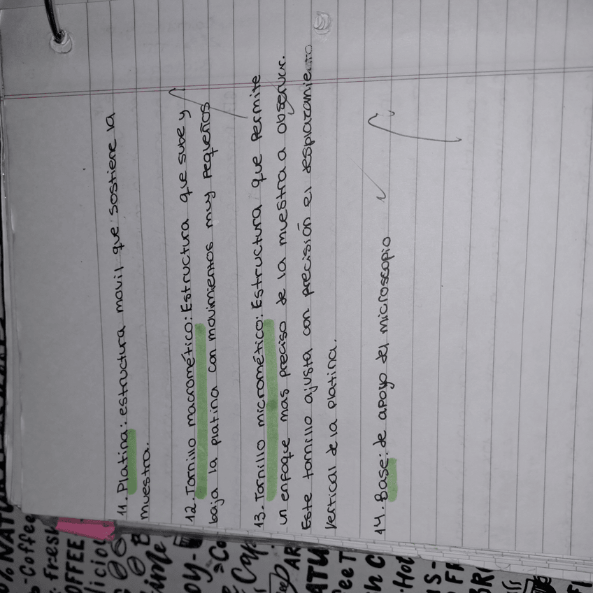 Miniatura del documento 17300547399422310094861401769582.jpg