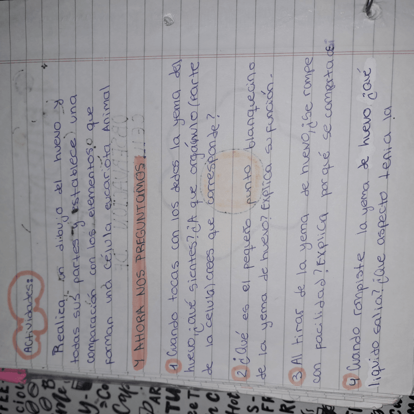 Miniatura del documento 17300547571026421119801542830759.jpg