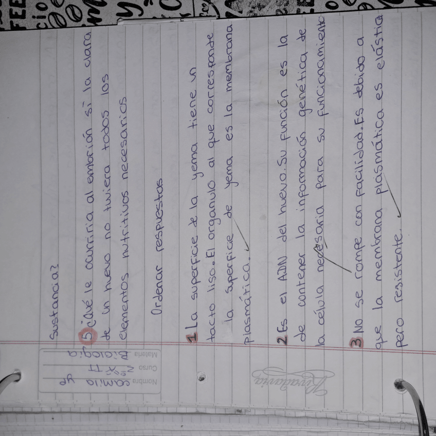 Miniatura del documento 17300547684003019332115211186753.jpg