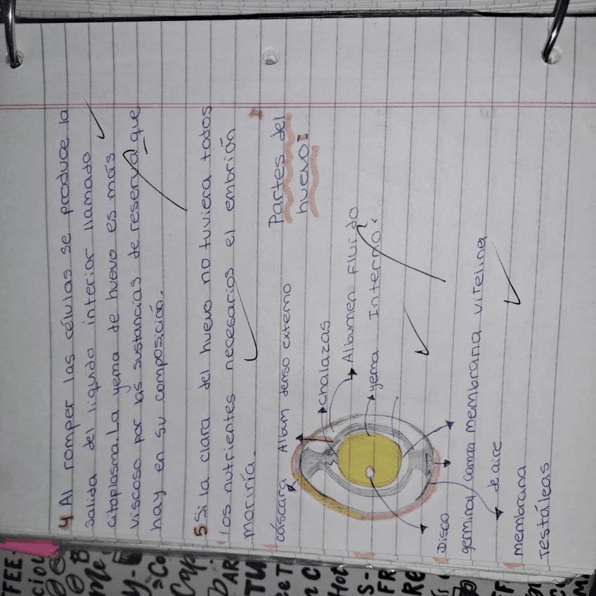 Miniatura del documento 17300547785512052263822398164535.jpg