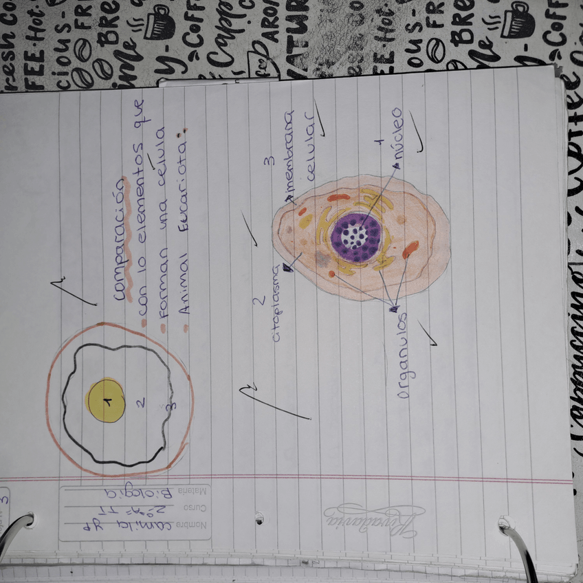 Miniatura del documento 17300547875874083333456493195614.jpg