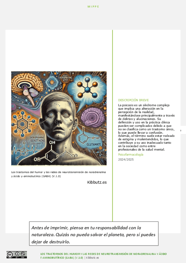 Miniatura del documento MIPPE-tema-6.pdf