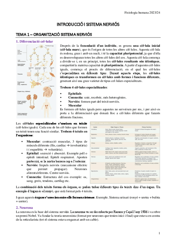 Miniatura del documento 1r-Parcial-Apunts-Fisiologia-Humana.pdf