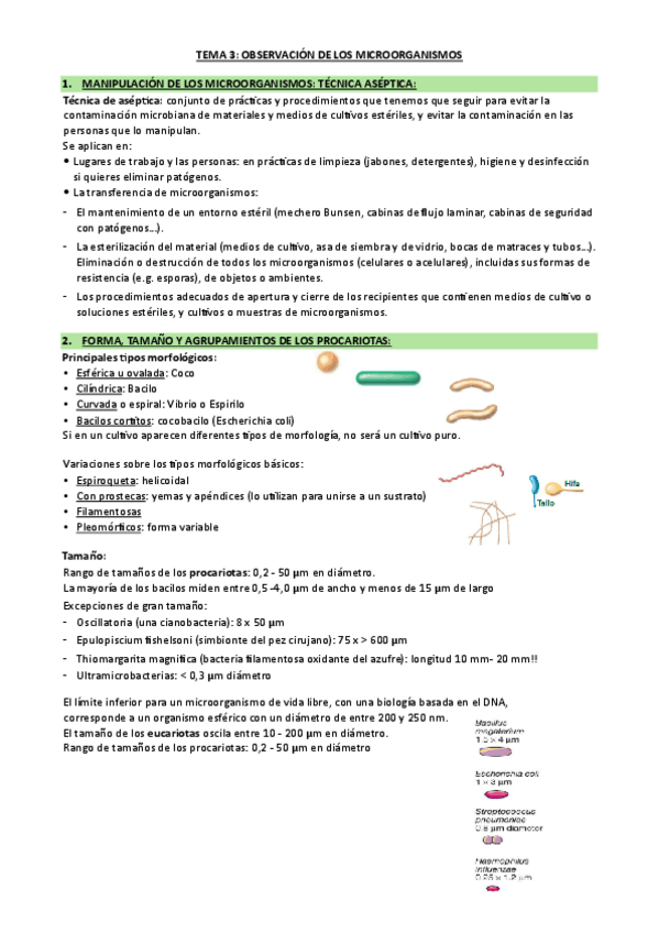 Miniatura del documento TEMA-3.pdf